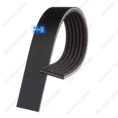 Where Is The Serpentine Belt Located In Car At John Higuera Blog - Foto 5