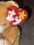 thumbnail 2  - RETIRED Ty Beanie Baby HOPE Bear ERRORS With Tags RARE