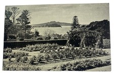 Parnell Rose Gardens ~ Auckland New Zealand NZ ~ Vintage Postcard