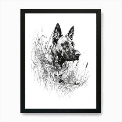 Deutscher Schäferhund Linienzeichnung Sk gerahmtes Wandbild Poster Leinwanddruck Bild