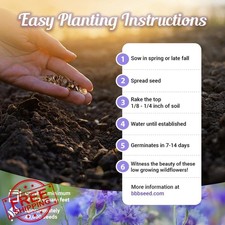 Low Growing Wildflower Seeds Mix, 1oz, Short Flowers, Non-GMO 320.00 per gallon