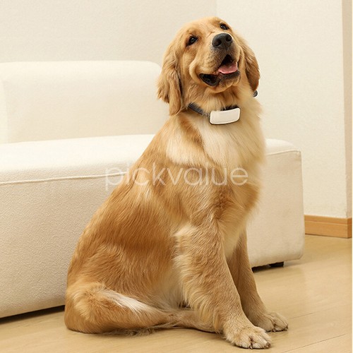 Anti Bark Dog Collar Auto Stop Barking Training Collar Obedience Rechargeable - Picture 13 of 13