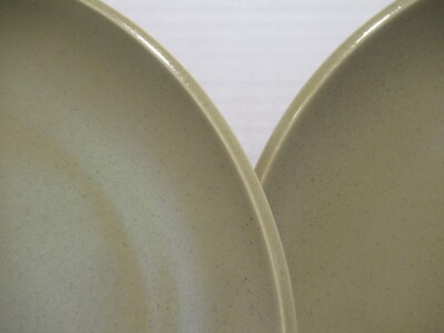 Calvin Klein Cargo Sage Coupe Stoneware Dinner Plates EUC