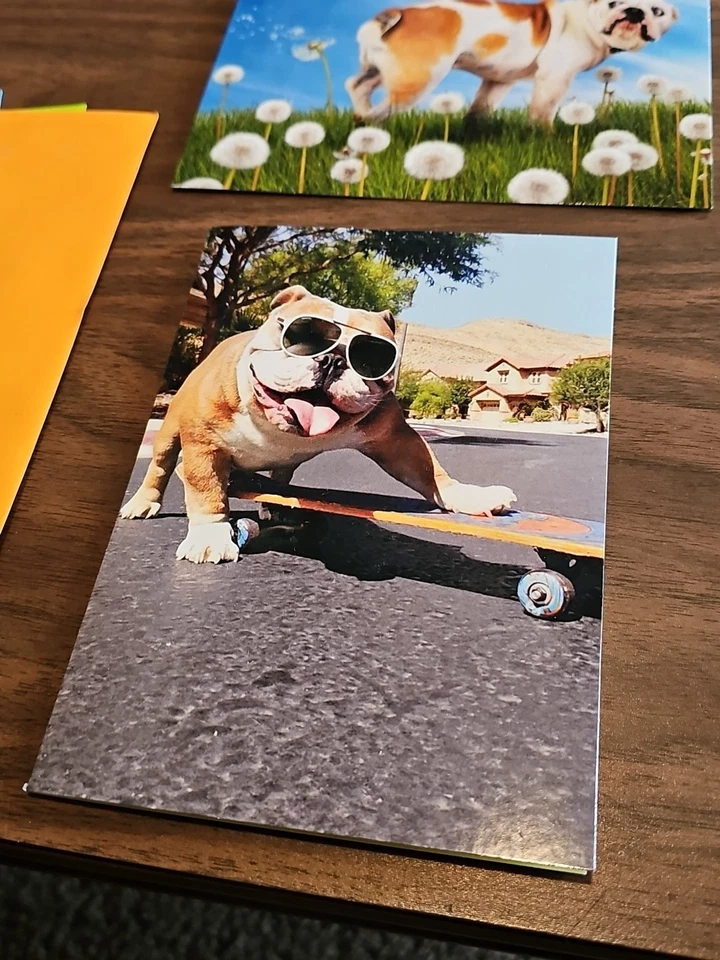 Lot of 3 Dogs Greeting Card Lot Avanti Press USA Happy Birthday Feel Better  - Image 2 of 4