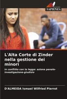 D'almeida Ismael Wilfried Pierrot | L'alta Corte Di Zinder Nella Gestione Dei...