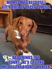 Dachshund bounty Hunter refrigerator magnet 3 1/2 x 4 1/2 " Made in the Usa