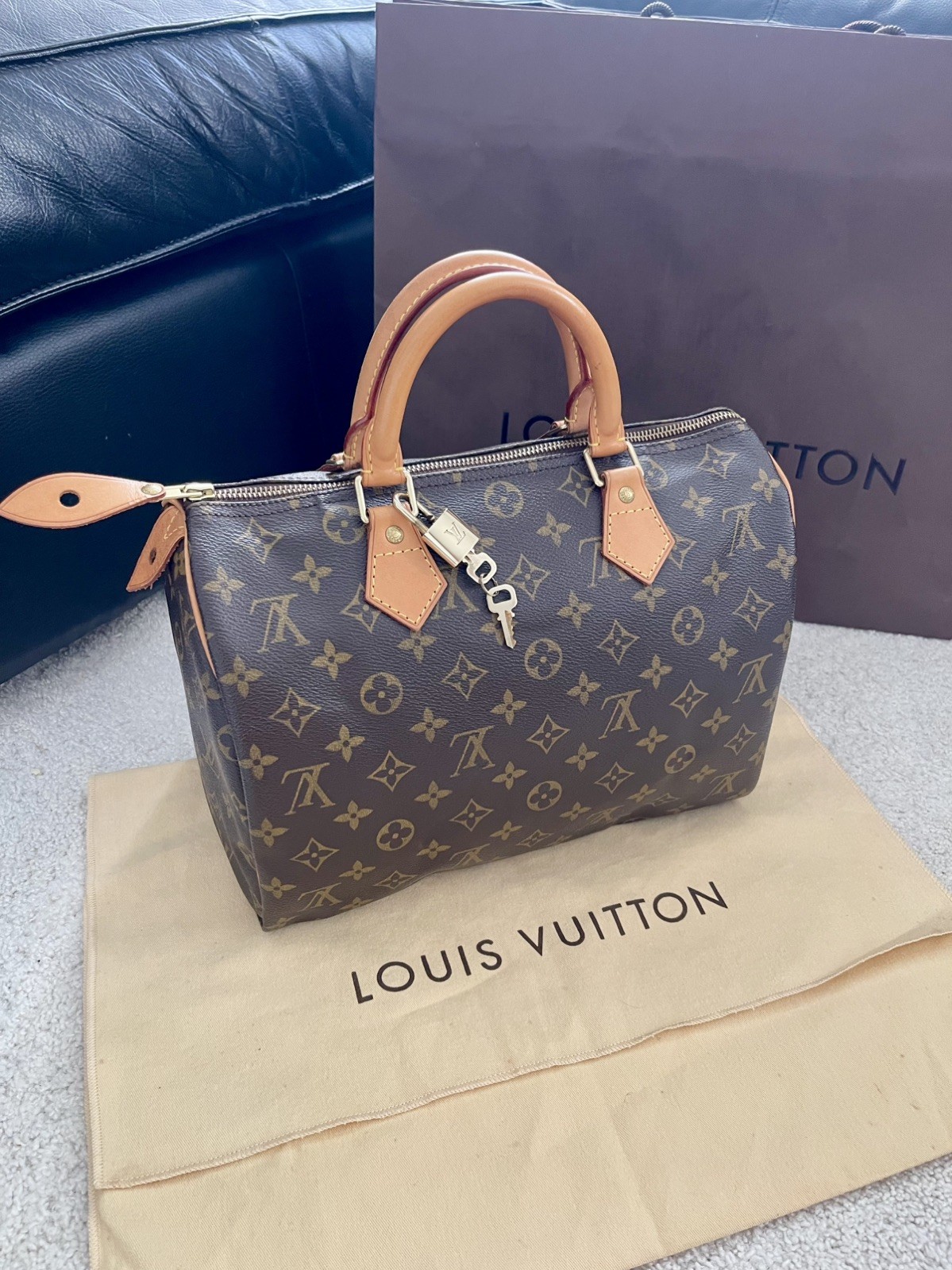 Louis Vuitton Speedy 30 Borsa a Mano bauletto Hand Bag Sac