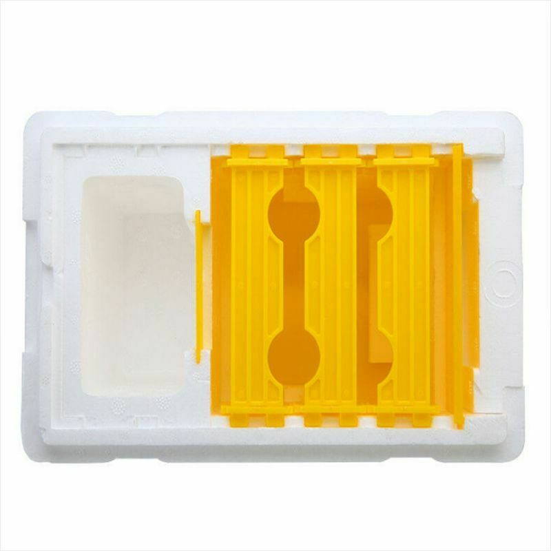 Beehive Box Queen Bee Rearing Mating Hive Tools Beekeeping Tool Equipment Kit 