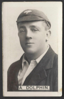 CHUMS - CRICKETSPIELER - #13 A DOLPHIN, YORKSHIRE