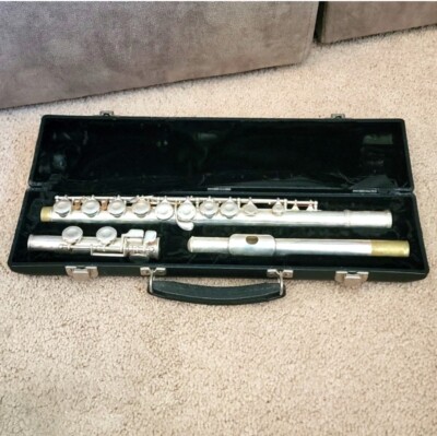 Flute In Hardshell Carrier