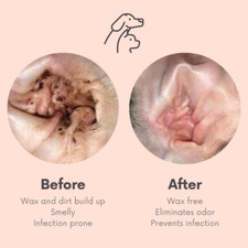 Eye  Ear Pet Wipes - for Dogs Cats Puppies  Kitties - Cleans  Deodorizes -...