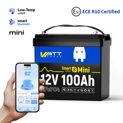 WattCycle LiFePO4 100Ah 12V 1280Wh Bluetooth Akku Mini Lithium Batterie Marine