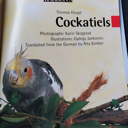 4 Books Lot About Cockatiels Birds & Bird Foods - Picture 13 of 16
