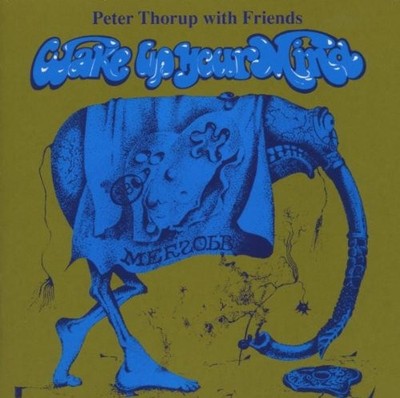 Peter Thorup Wake Up Your Mind (CD)