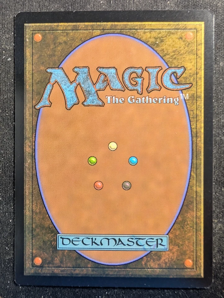 Windswept Heath - Zendikar Rising Expedition (MTG) - Image 2 of 2