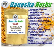 ORGANIC RAW CAMELLIA SINENSIS BEE POLLEN  GRANULES 100 GRAMS AMAZING SUPERFOOD!