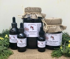 Lion's Mane Mushroom Tincture Herb Extract Double Extraction