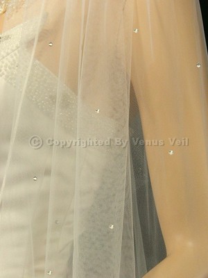 1T Ivory Bridal Cathedral Scattered 80 Rhinestones Rattail Edge Wedding Veil