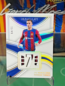 Immaculate Soccer Panini | eBay