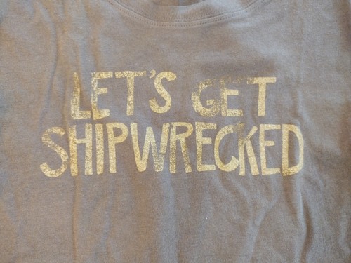 T-shirt HOLLISTER vintage Y2K slim marron Let's Get Shipwrecked Bettys neuf avec étiquette - M - Photo 4/13