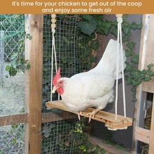 Chicken Swing