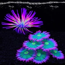 2pcs Glowing Effect Aquarium Fish Tank Decorations, Silicone Glow in The Dark...