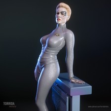 Seven of Nine, Star Trek:Voyager, sexy Pin Up...