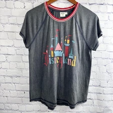 NWOT DIsney Parks Junk Food Collab Disneyland Resort Castle ICON Small