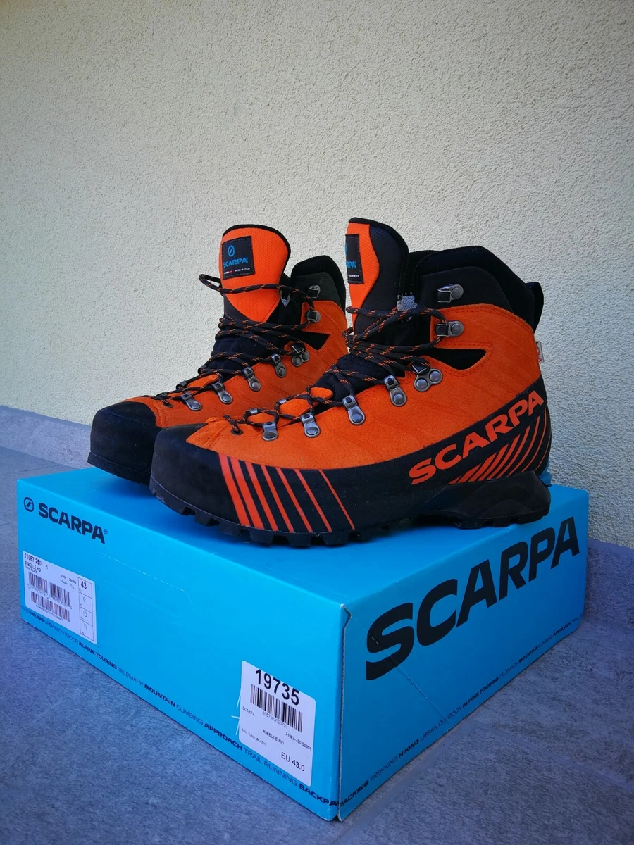 43 scarpa