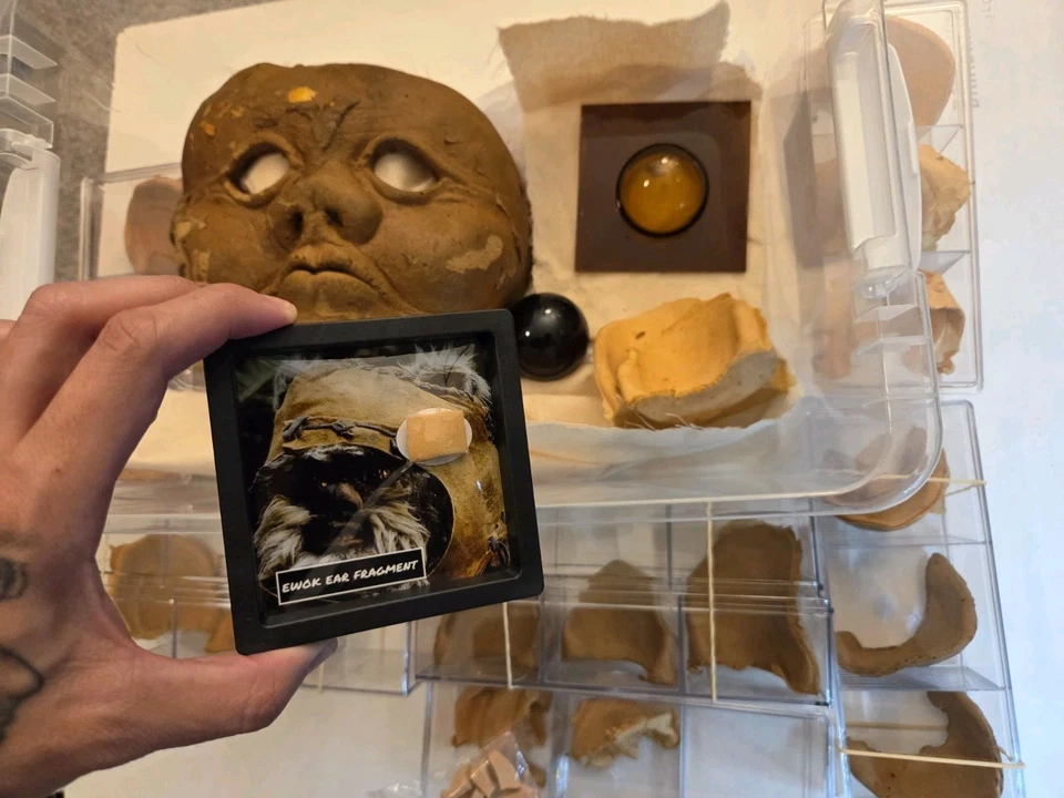 Star Wars - Utilería de película original / EWOK OREJA / TAUNTAUN (COA) LOTE 2 ACCESORIOS PAQUETE Foto 2 de 4