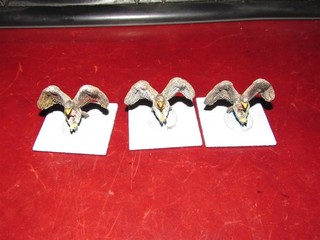 25mm: D&D: metal painted Eagles x3 c
