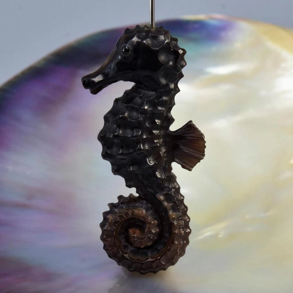 Seepferdchen Geschnitzter Schwarz Stift Pinna Muschel Figur Kollektion Design - Bild 2 von 4