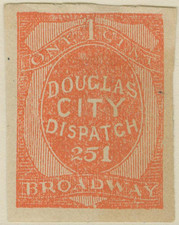 Douglas City Dispatch 251 Brooklyn Used Stamp
