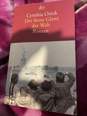 Der ferne Glanz der Welt : Roman. Aus dem Amerikan. von Irene Rumler / dtv ; 135