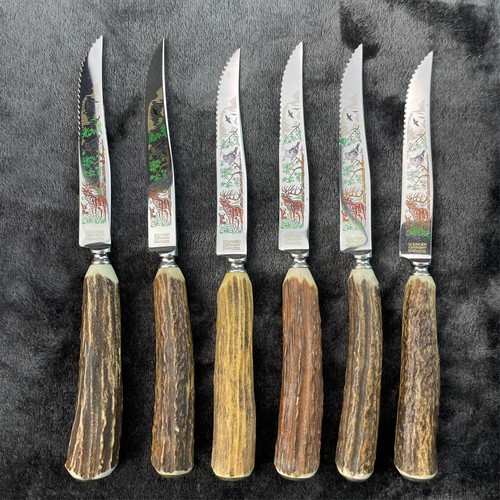 Stag Handle Steak Knives Solingen Germany Stainless Engraved Colored Elk - Picture 4 of 9