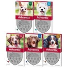 ADVANTIX¹ chien 1-60 kg protection externe parasite flea treatment 4 pipettes