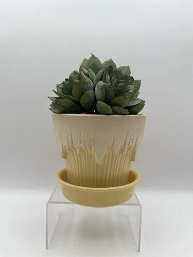 McCoy Pottery Planter W Saucer Vintage Flower Pot Yellow Icicle