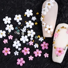 3D Flower Nail Art Beauty Decoration Daisy Plum Design DIY Tips Manicure + Box