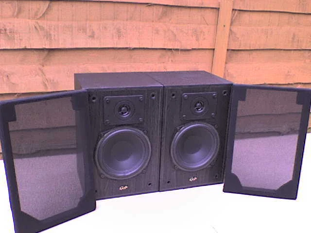 Gale mini monitor cheap