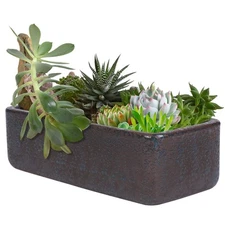 10 Inch Rectangular Terracotta Bonsai Planter Indoor/Outdoor Flower Pot with ...