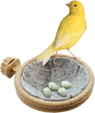 Bird Nest Canary Finch Parrot Nest with Felt 4.5 Inches