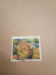 Australia  Postage Stamp 1984 Used 904
