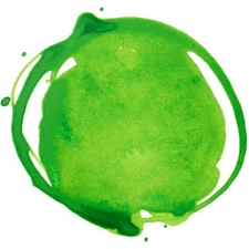 Acrylic Ink-Extra-Fine Acrylic Ink! 30 Ml-Lemon Green 740 Live