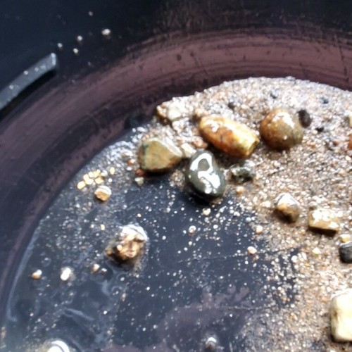 Gold Panning Pay dirt Dredge Concentrates GUARANTEED GOLD 10 Pounds