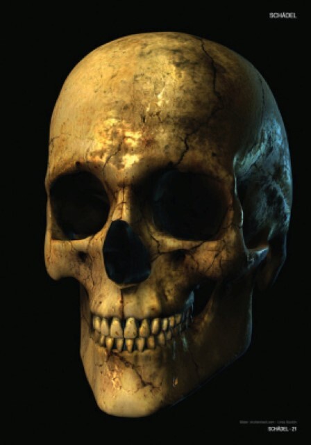Thumbnail - Skulls & Bones Johann Barnas