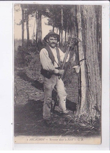 Livre : Le Charbonnier - Le Résinier De Claude Courou - Vie En Forêt De Gascogne (1992)