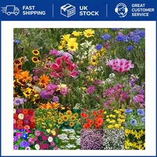 Wild Flower Cottage Garden Seeds - Bee & Butterfly Perennial Mix - 50g Natural 399.00 per kilo