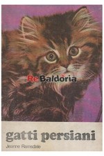 Gatti persiani Encia Ramsdale Jeanne Gatto 
