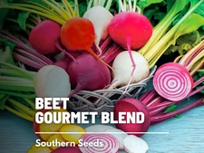 Gourmet Beet Mix Seeds, Heirloom Vegetable Blend, USA Grown