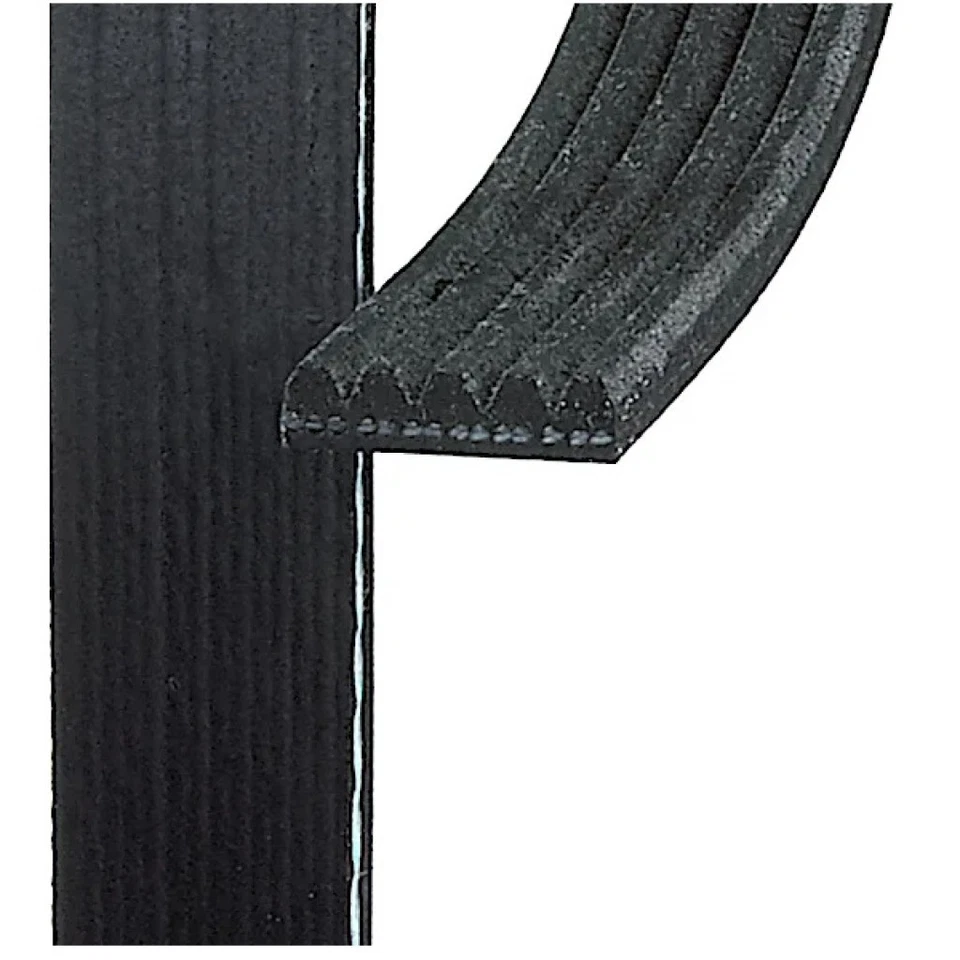 Cinturón Serpentine ACDelco Original Para Toyota Camry/Solara 1999-2001 | Para 88932597 Foto 2 de 4